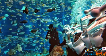 济州岛海底漫步